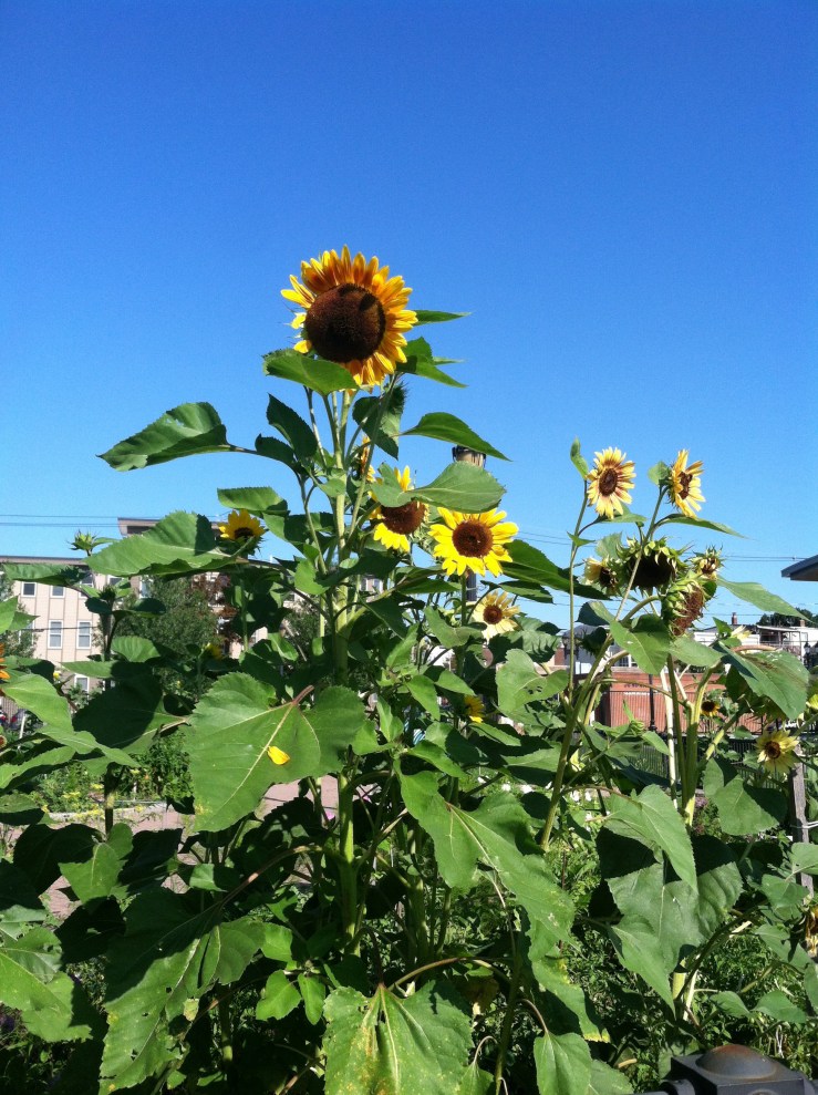 68845207-4900-4162-8C85-B03D7A58180D